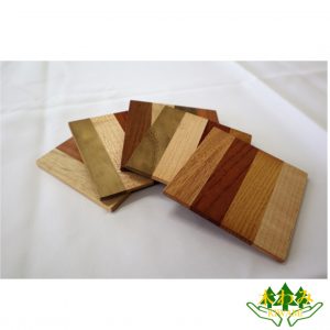 coaster-14
